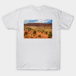 Arches National Park, Moab Utah T-Shirt